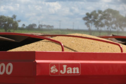 China compra mais de um quarto de toda a produção de soja de MS