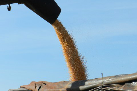 Foto: Assessoria de Imprensa Sistema Famasul