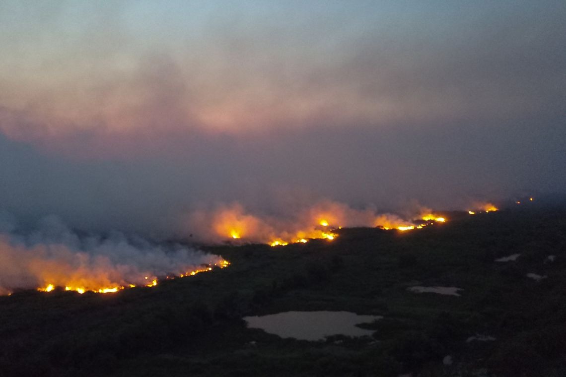 Ibama suspeita que incêndios em MS foram provocados por ação humana Chico-Ribeiro/Governo Mato Gross