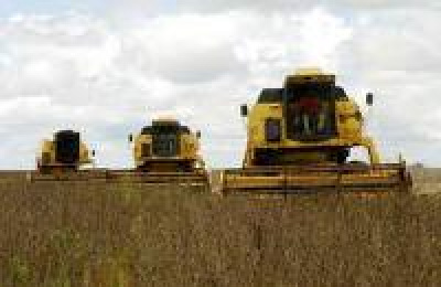 Atraso da colheita da soja muda planos de agricultores do MS