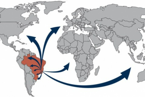 Comissão da Câmara rejeita projeto que eleva custo das exportações agrícolas Foto: CNA