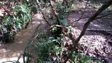 Fazendeiro de Caarapó é multado por degradar área de preservação em Amambai Foto: Divulgação