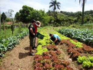 Produtores de MS terão 55 cursos disponíveis envolvendo a atividade rural