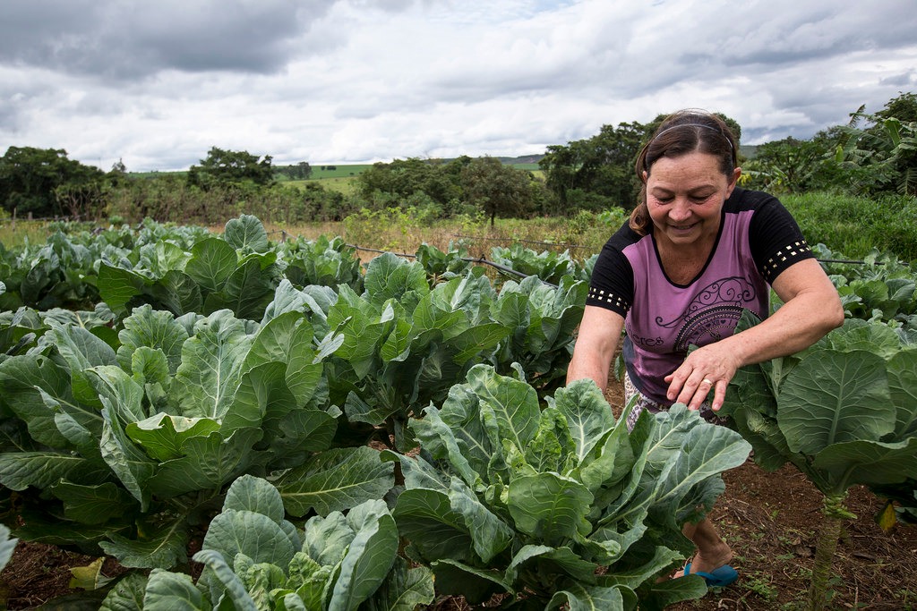 FAO lança concurso de relatos e fotografias sobre mulheres rurais Foto: Divulgação