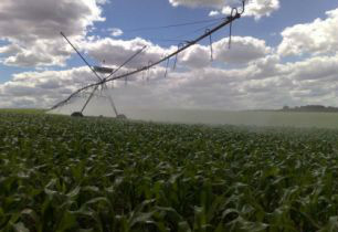 Manejo adequado da irrigação favorece a produtividade