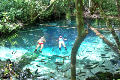 Pantanal é uma boa opção de férias para quem quer fugir do frio