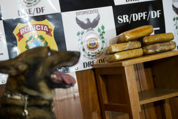 As investigações começaram em fevereiro e já foram apreendidas 5 toneladas de maconha.   Foto: ABr