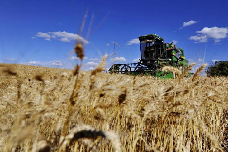Safra de grãos deve alcançar 193,8 milhões de toneladas