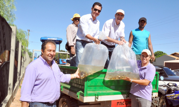 Prefeitura de Amambai entregou mais alevinos para os piscicultores cadastrados no programa Peixe Legal.