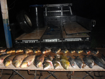 PMA apreende 256 kg de peixe em fundo falso de veículo