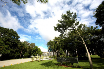 Confira as atividades do Legislativo para a próxima semana Confira as atividades do Legislativo para a próxima semana