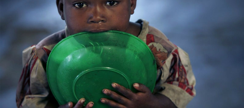 FAO homenageia países que tiveram progressos na luta contra a fome