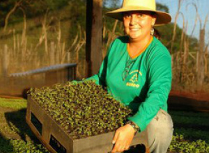 O PAA utiliza mecanismos de comercialização que favorecem tanto o agricultor familiar como a produção