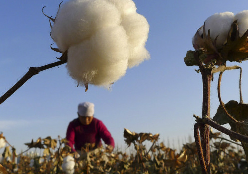 Brasil critica subsídios ao algodão dado pelos EUA a produtores