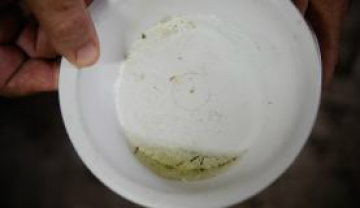 Casos de dengue no país aumentam 234% e chegam a 745,9 mil neste ano Desde o início do ano até o dia 18 de abril, o país já registrou 745,9 mil casos de dengue - Tânia Rêgo/Agência Brasil