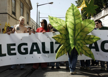 Maioria dos internautas do Amambai Notícias é contra legalização da maconha Marcha da Maconha.