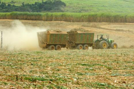 MS: Renda agropecuária deve atingir R$ 26,1 bilhões em 2017 Foto: Divulgação