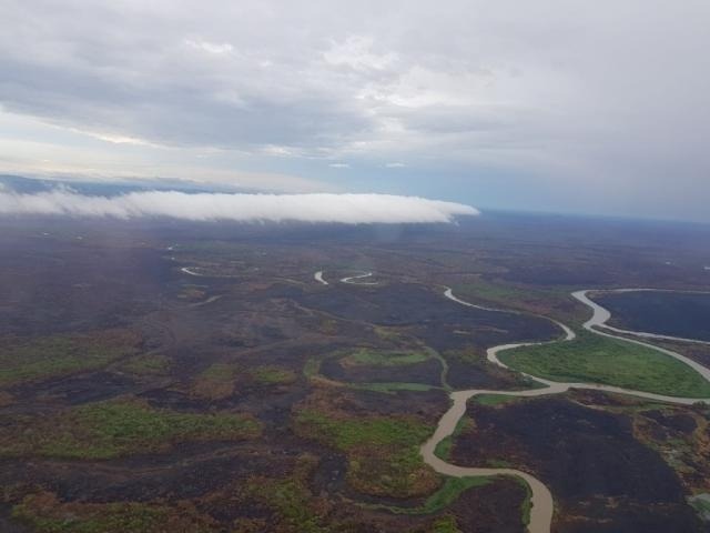 Chuvas de até 70 mm apagam fogo no Pantanal e Bombeiros monitoram área Precipitações da região pantaneira frearam incêndios florestais (Foto: Divulgação/CBMMS)
