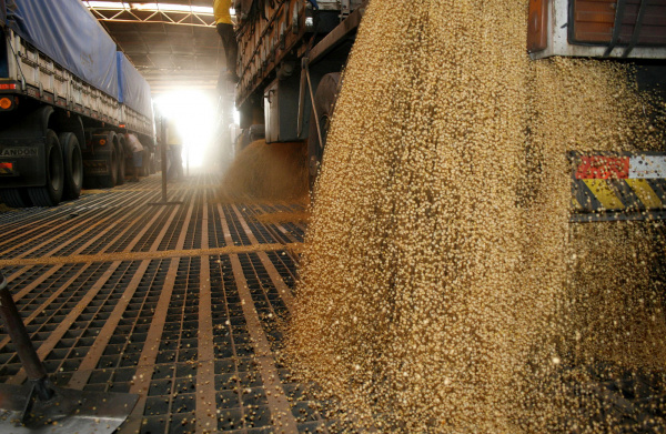 Exportações de industrializados no MS já comercializou US$ 381,8 milhões