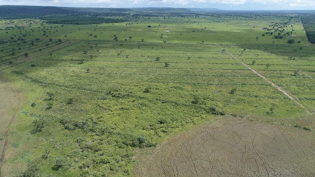Área foi fiscalizada com auxilio de um drone e GPS - Foto: Divulgação 