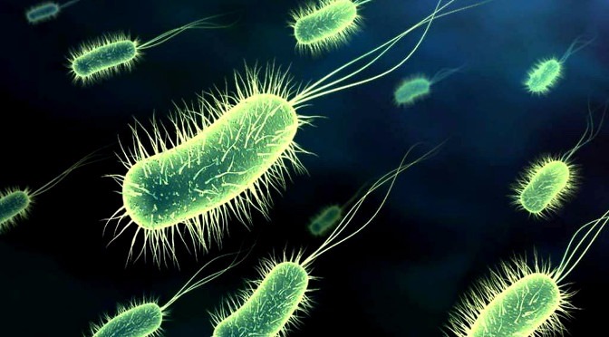 Pesquisa em MS busca o desenvolvimento de novos antibióticos Foto: Divulgação