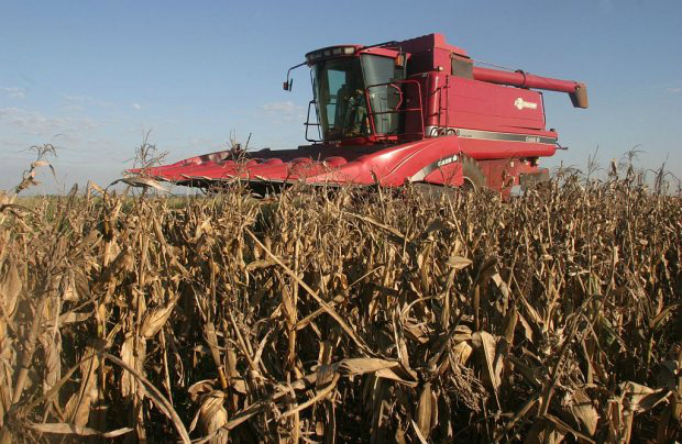 Queda da agropecuária prejudica desempenho da economia Queda da agropecuária prejudica desempenho da economia