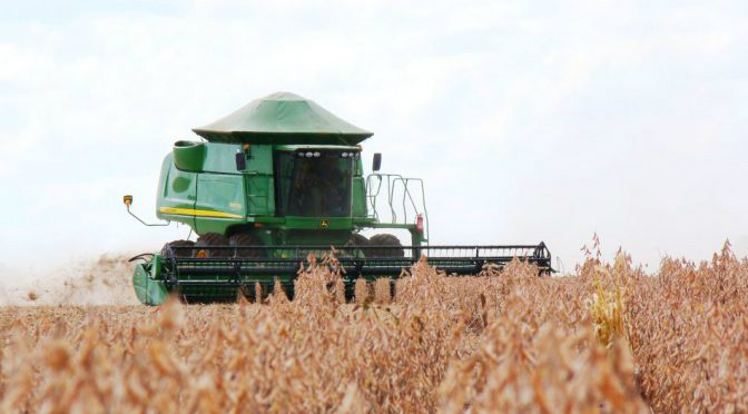 Iagro alerta produtores sobre últimos dias para cadastro da área de plantio Foto: Divulgação