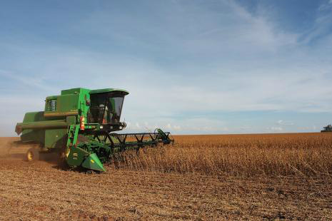 Agronegócio terá crescimento maior no Brasil em relação ao resto do mundo Foto: Divulgação