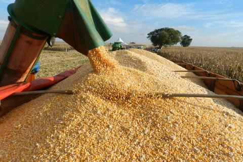 Foto: Assessoria de Imprensa Sistema Famasul