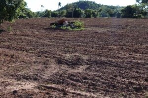 Avanço da agricultura coloca em risco mais áreas de preservação de Bonito Fazenda arrendada trocou pastagem por lavoura a 21 km da área urbana de Bonito. (Foto: Kisie Ainoã)