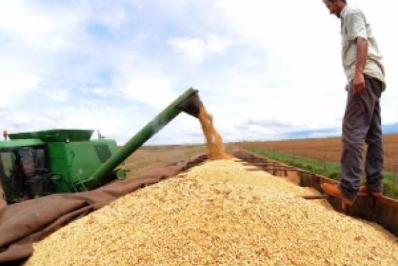 Brasil deve ter neste ano safra 29,2% maior do que em 2016 As três principais lavouras de grãos do país deverão ter crescimento neste ano: soja (17,2%), arroz (14,7%) e milho (52,3%)Foto: Divulgação