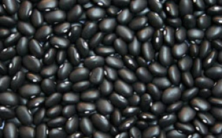 Projeto de lei destina recursos da merenda escolar para compra de alimentos