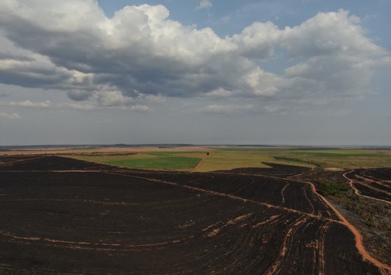 Empresa é multada em R$ 493 mil por incêndio em lavoura e vegetação protegida Fotos: PMA