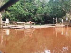 Balneário de Jardim exibe Rio da Prata cheio de lama após chuva. (Foto: Divulgação)