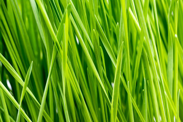Você conhece a origem do nome das cores? Fonte da imagem: Shutterstock