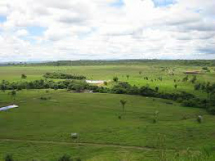 A maioria pertence ao município de Itaquiraí, a 402 quilômetros de Campo Grande