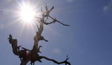 O alerta do Inmet para o excesso de calor e seca vale até terça-feira - Arquivo/Agência Brasil