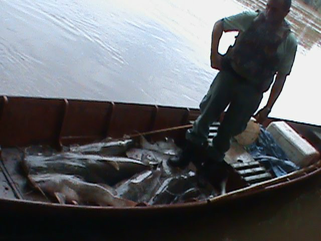 PMA prende sete pescadores de Amambai e apreende 39 kg de peixes