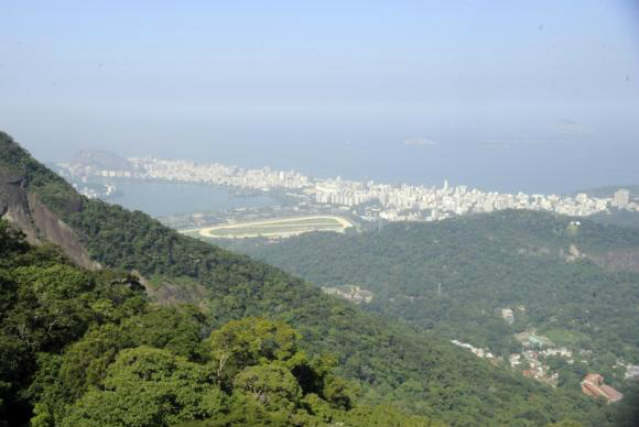 A Mata Atlântica é considerada prioritária por estar próxima da população urbana, por ser a que possui menor vegetação nativa e também por seu papel na manutenção do abastecimento de água na Região Sudeste - Tânia Rêgo/Agência Brasil