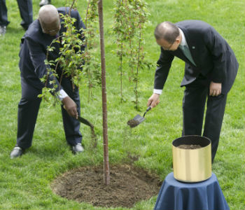Ban Ki-moon (à dir.) e Sam Kutesa plantam árvore na sede da ONU. Foto: ONU/Mark Garten