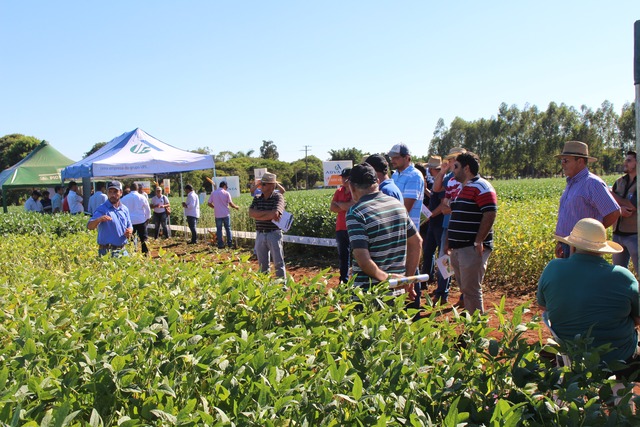 Coopersa realiza dia de Campo nesta sexta-feira (26) em Amambai Foto: Divulgação