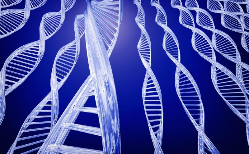 LNCC seleciona bolsistas para doutorado em biologia computacional