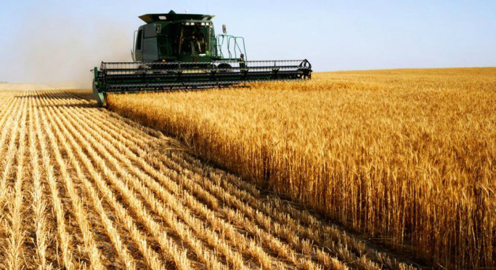 Agronegócio deve ter crescimento de 2% em 2017 Produtos do agronegócio deverão garantir saldo comercial significativo ao País de US$ 72,5 bilhõesFoto: Divulgação