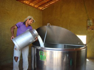 Qualidade na produção de leite é tema de curso do Senar