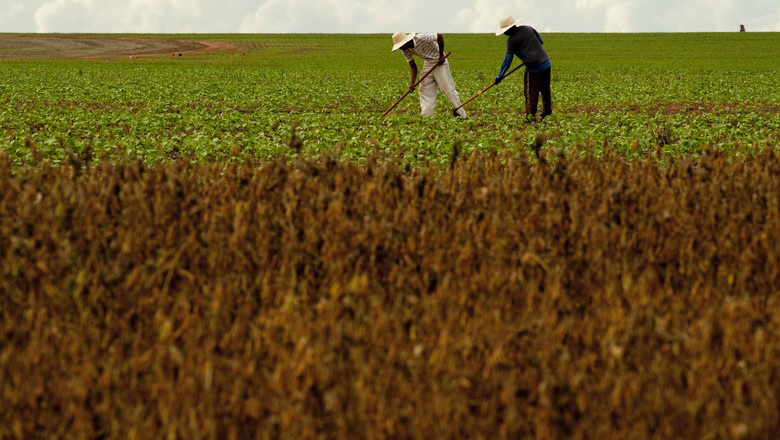 Aposentadoria rural seguirá novas regras da Previdência Foto: Divulgação