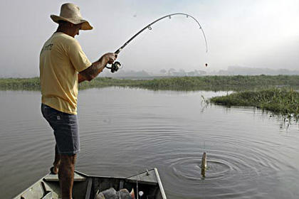 Pescadores amadores devem retirar autorização ambiental