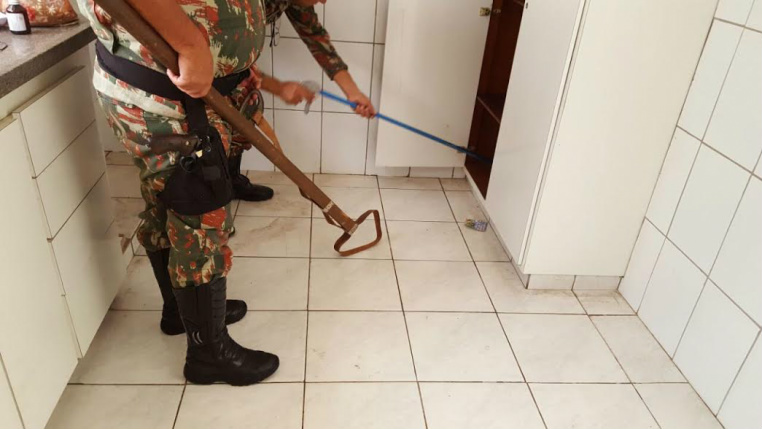 Foto: Divulgação