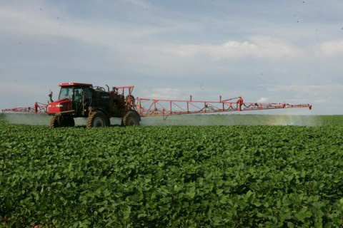 Foto: Revista Plantar