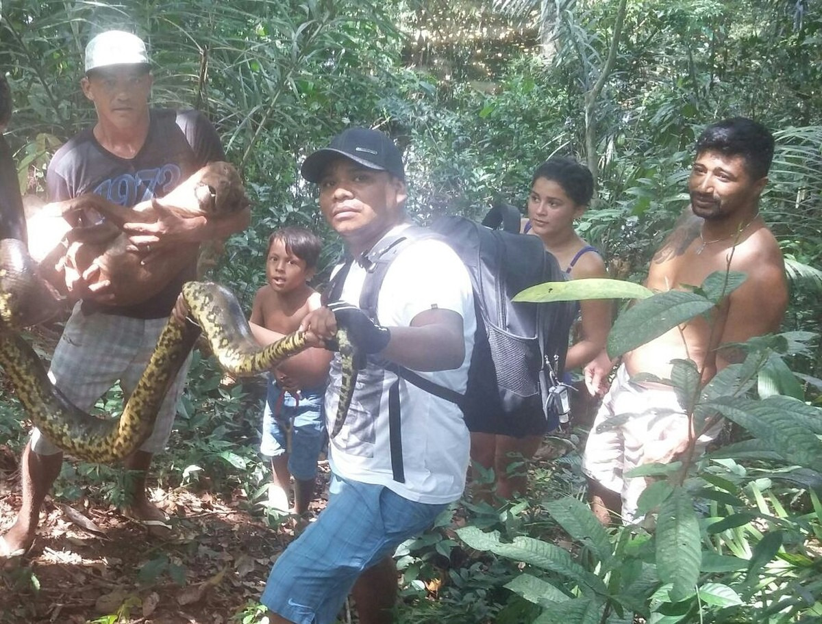 Cobra e pit bull mortos (Foto: Arquivo Pessoal/Ericksson Moraes) 