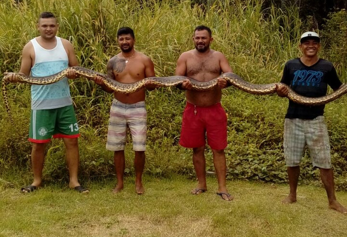 Grupo capturou cobra de 5 metros (Foto: Arquivo Pessoal/Erickson Moraes) 